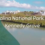 Playpark Guide: Salina National Park & Kennedy Grove.