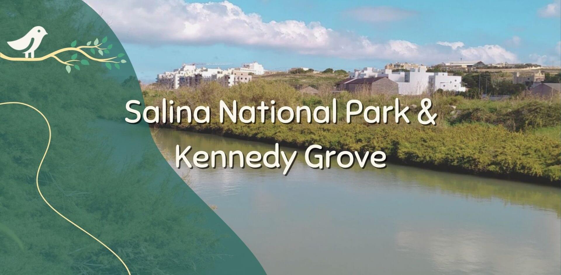 Playpark Guide: Salina National Park & Kennedy Grove.