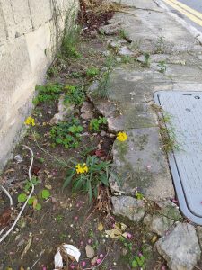 Malta pavement