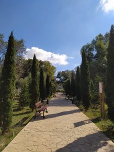Kennedy Grove