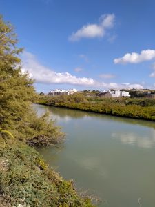 Salina river