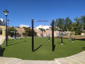 kitchen garden outdoor gym
