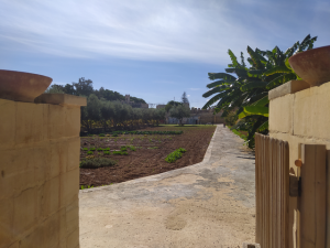 kitchen garden farm 2