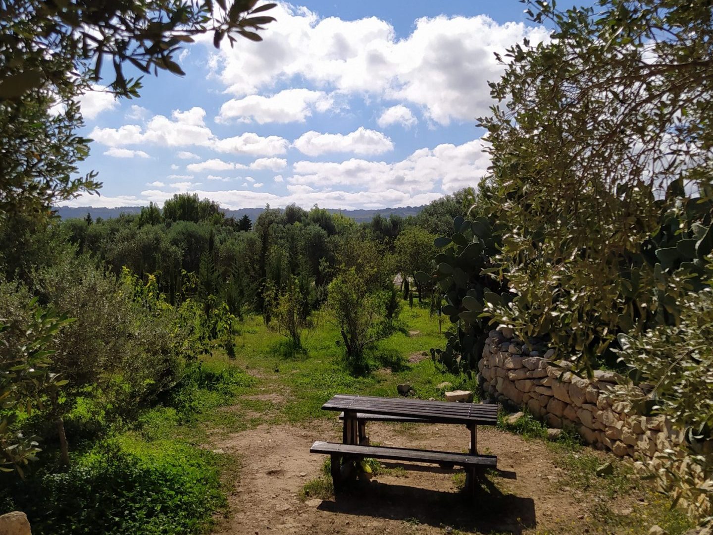 Salina park view