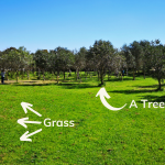 Malta has no green spaces