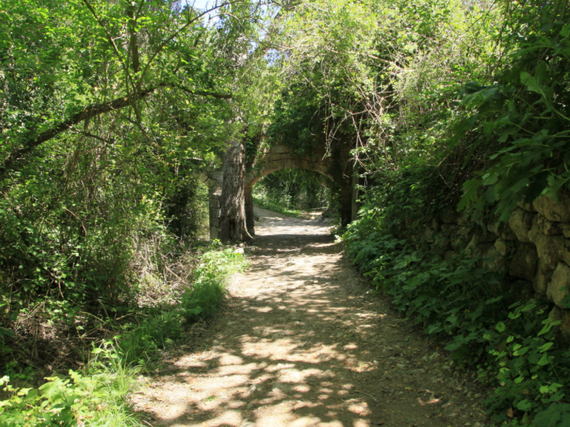 malta has no green spaces