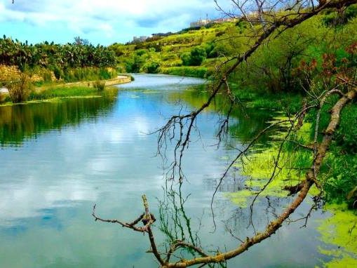 malta has no green spaces