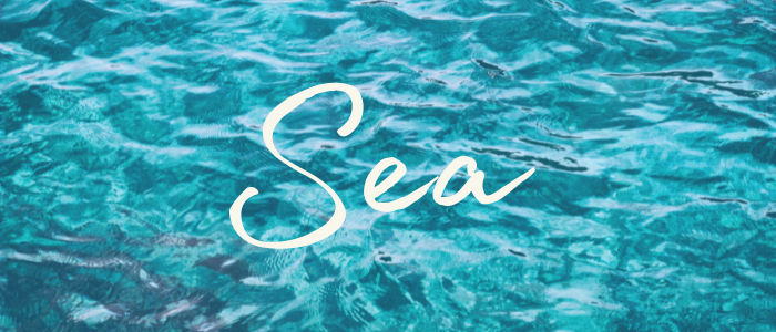 Kids' Beach Essentials