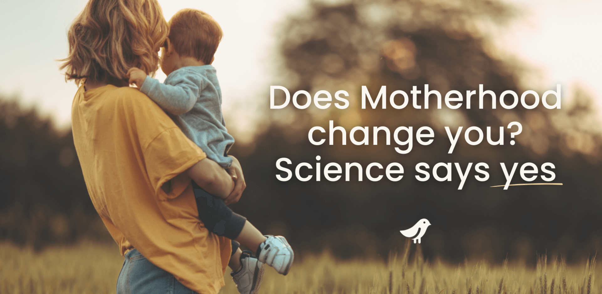 Does Motherhood Change You Science Says Yes. Web Banner