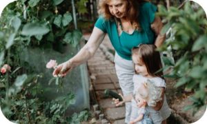 Malta Garden Nursery