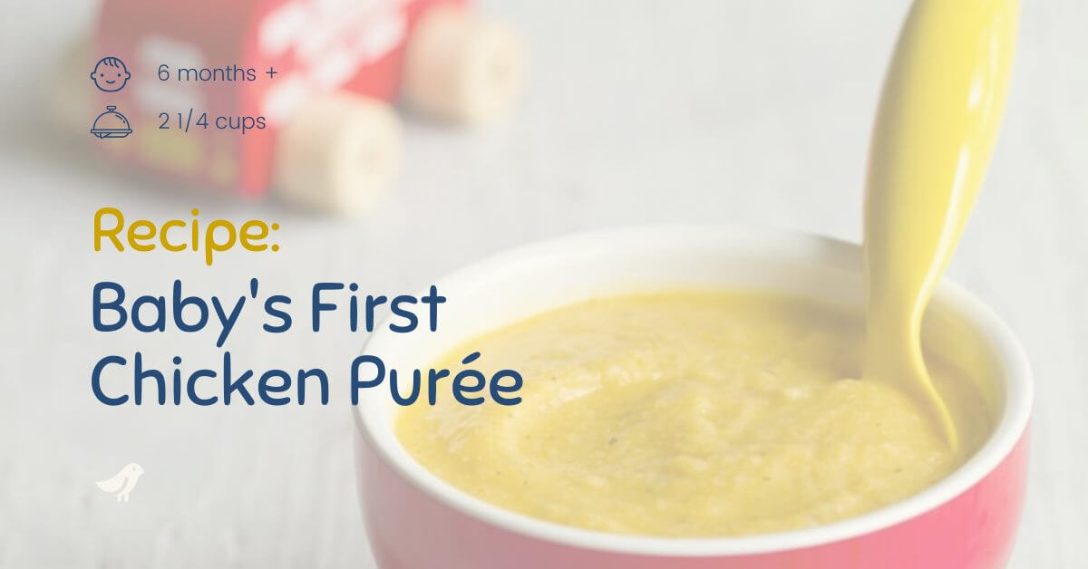 Baby’s First Chicken Purée Recipe Island Bebe