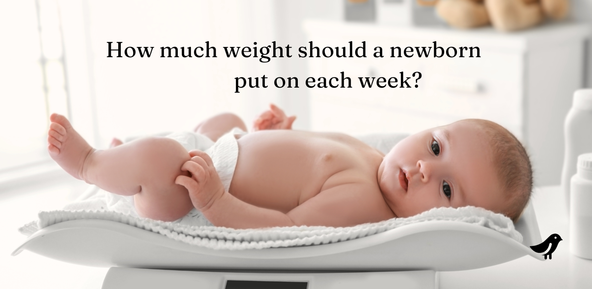 Is My Newborn Baby Gaining Enough Weight? Island Bebe