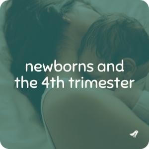 newborns and the 4th trimester