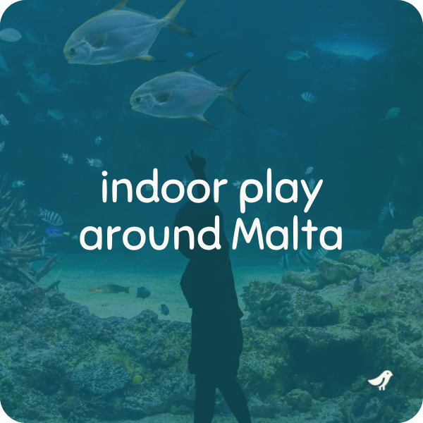 indoor activity malta