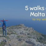 5 walks around Malta and Gozo