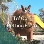 Ta' Qali Petting Farm Web banner
