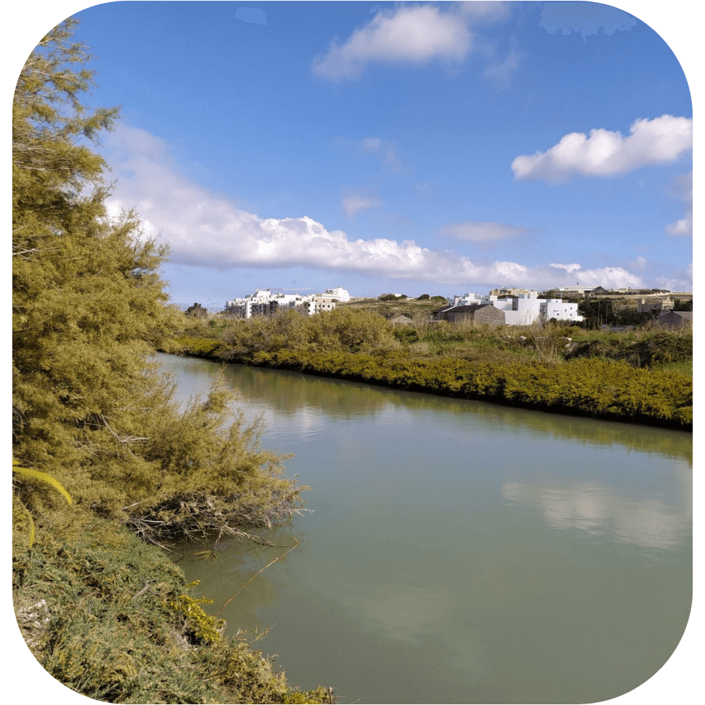 Salina National Park & Kennedy Grove