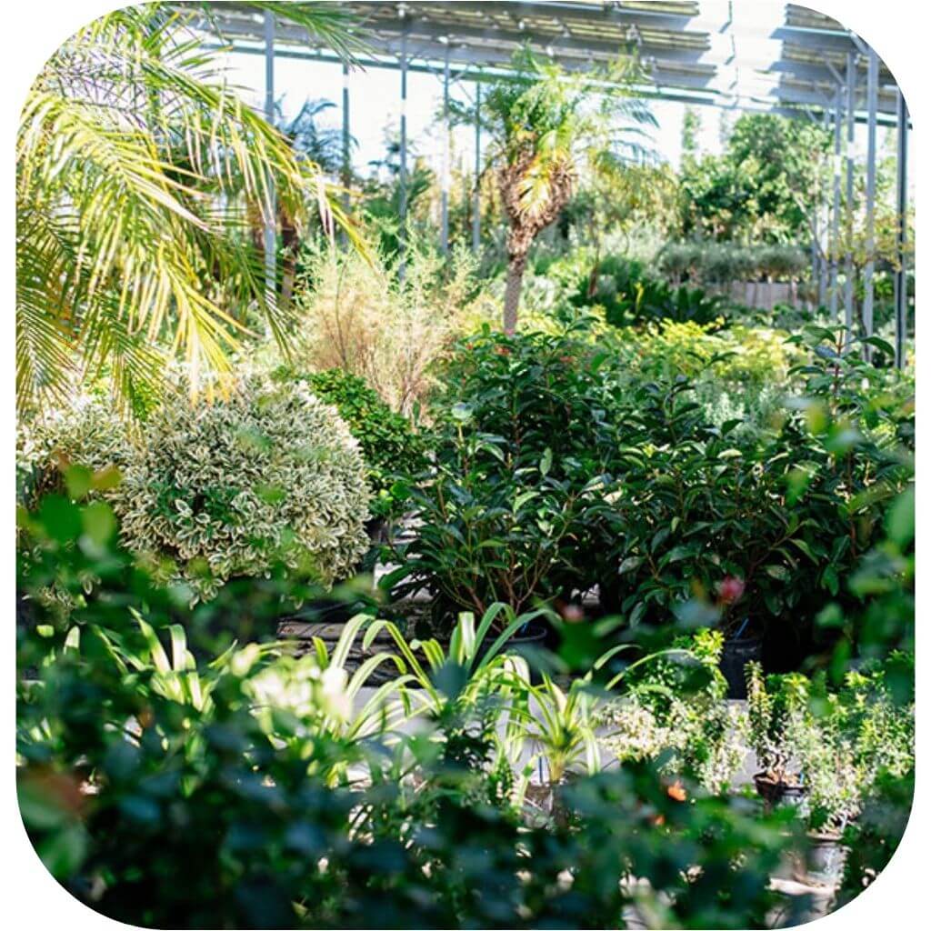 Sherries Garden Center