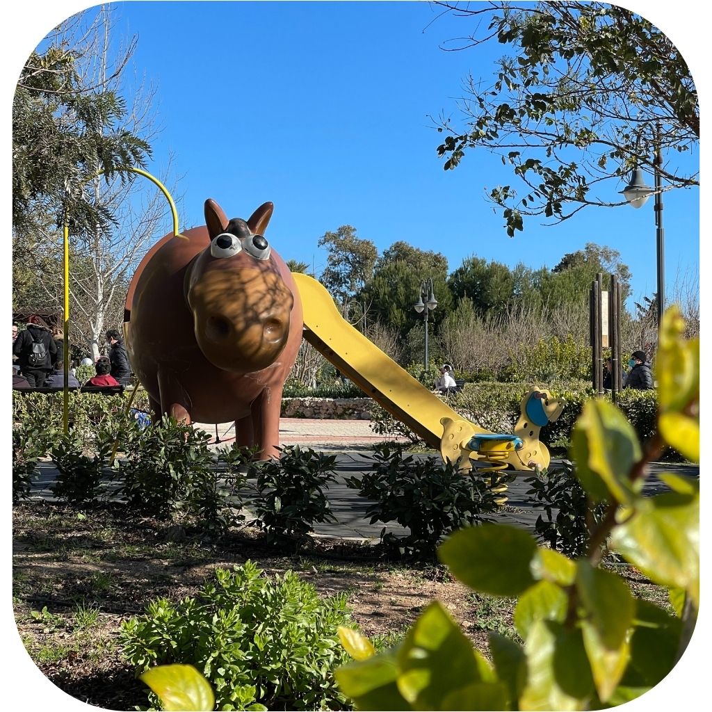 Petting Farm