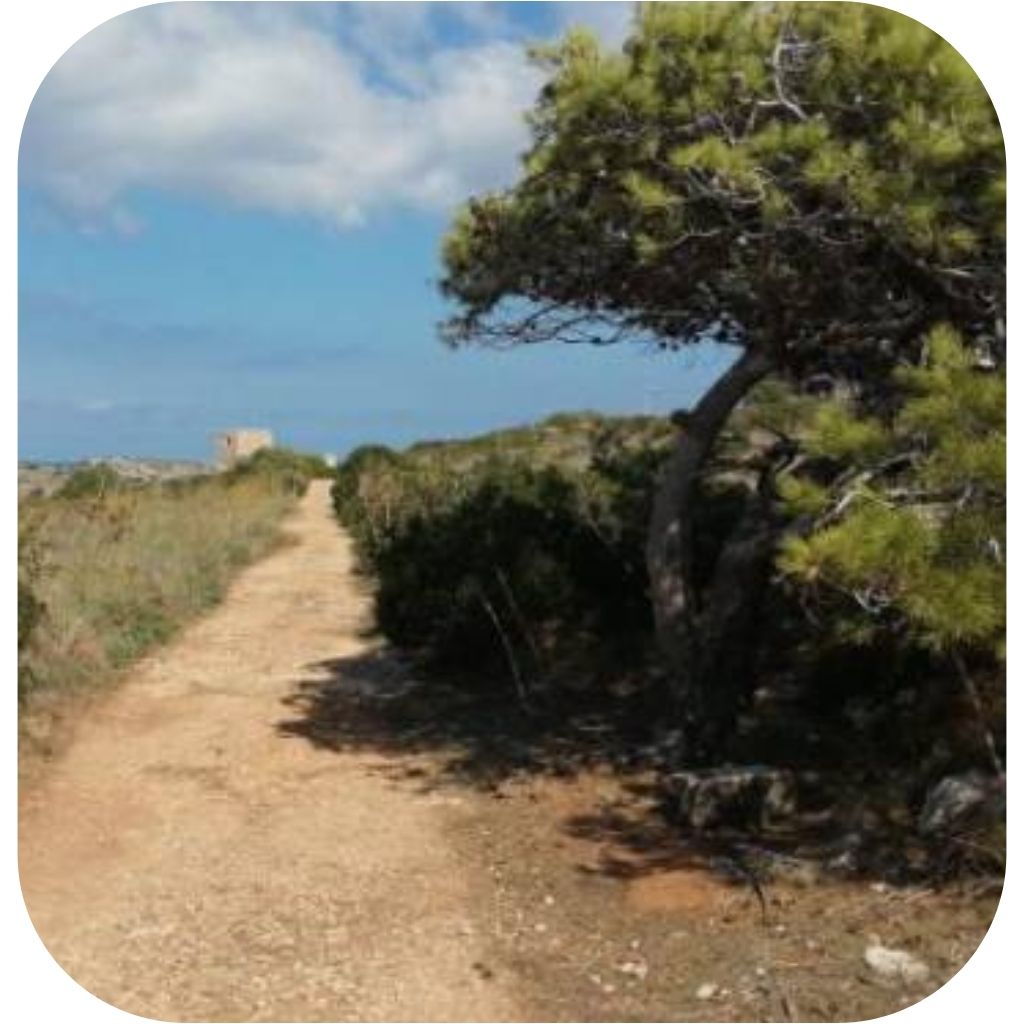 Xemxija Heritage Trail
