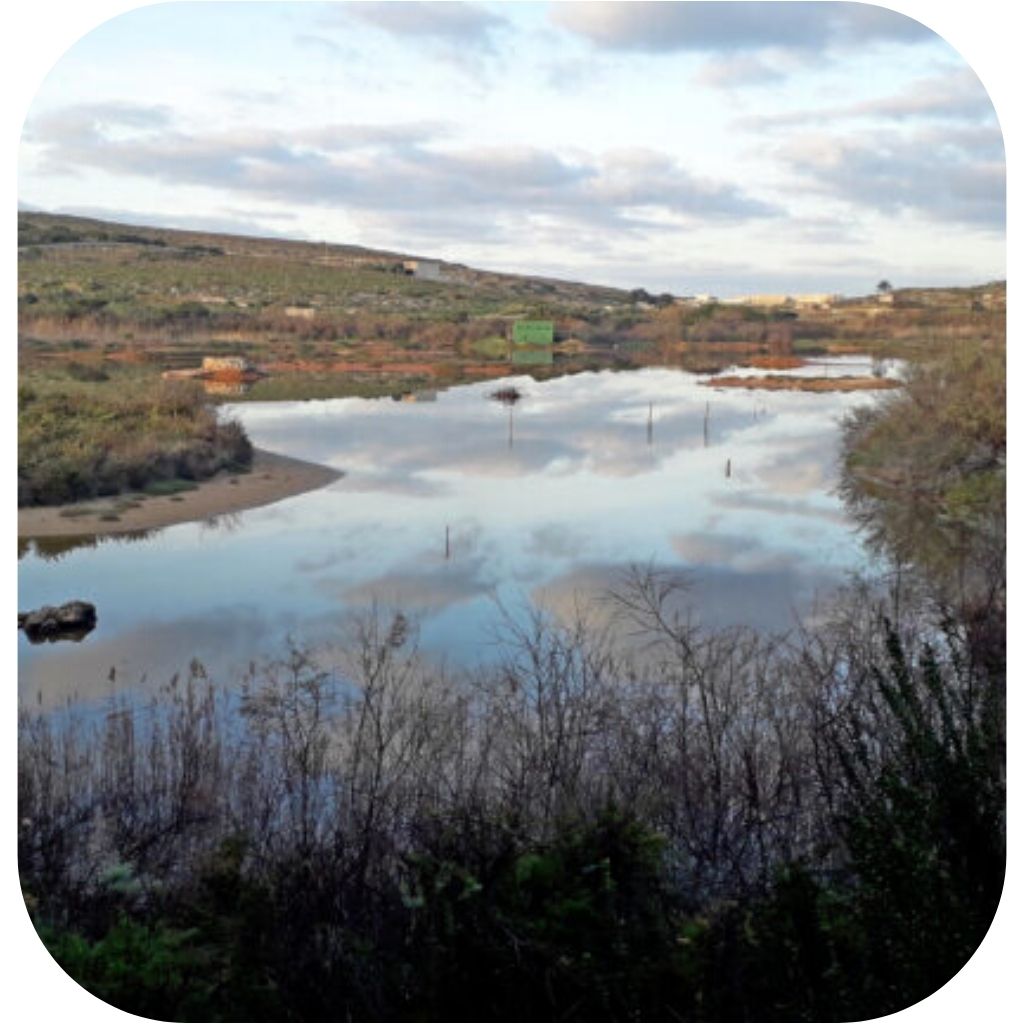 Għadira Nature Reserve