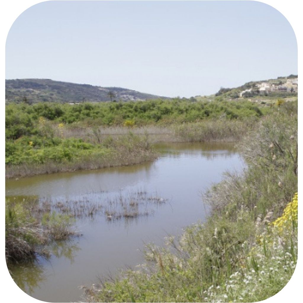 xemxija simar nature reserve