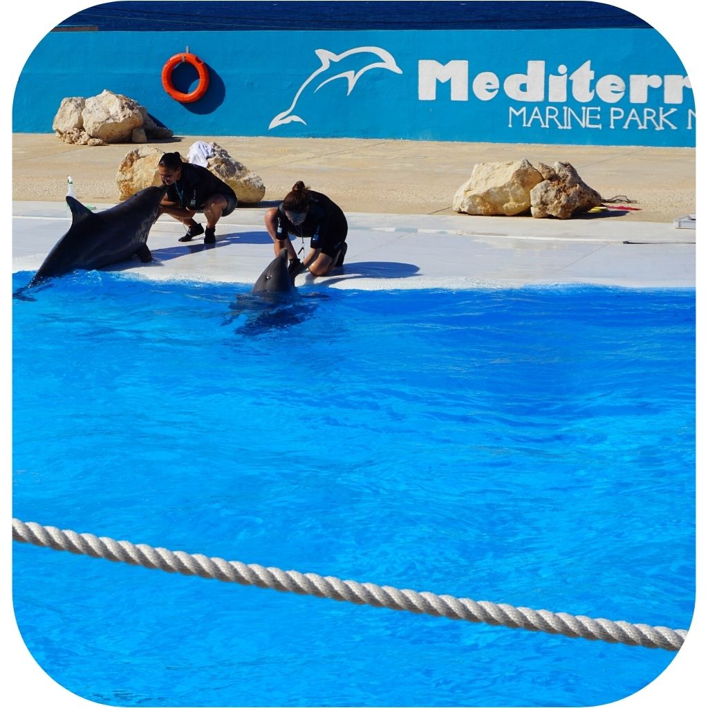 Mediterraneo Marine Park