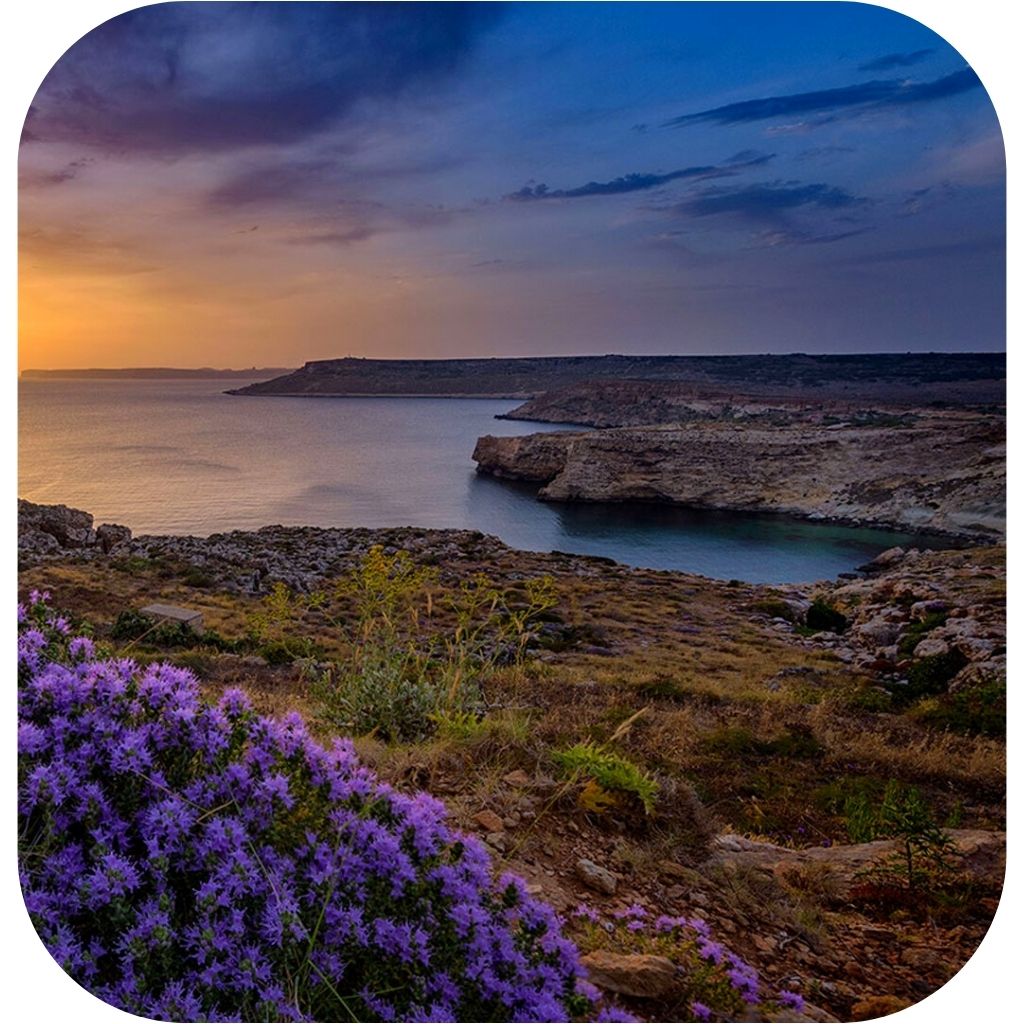 Il-Majjistral Park