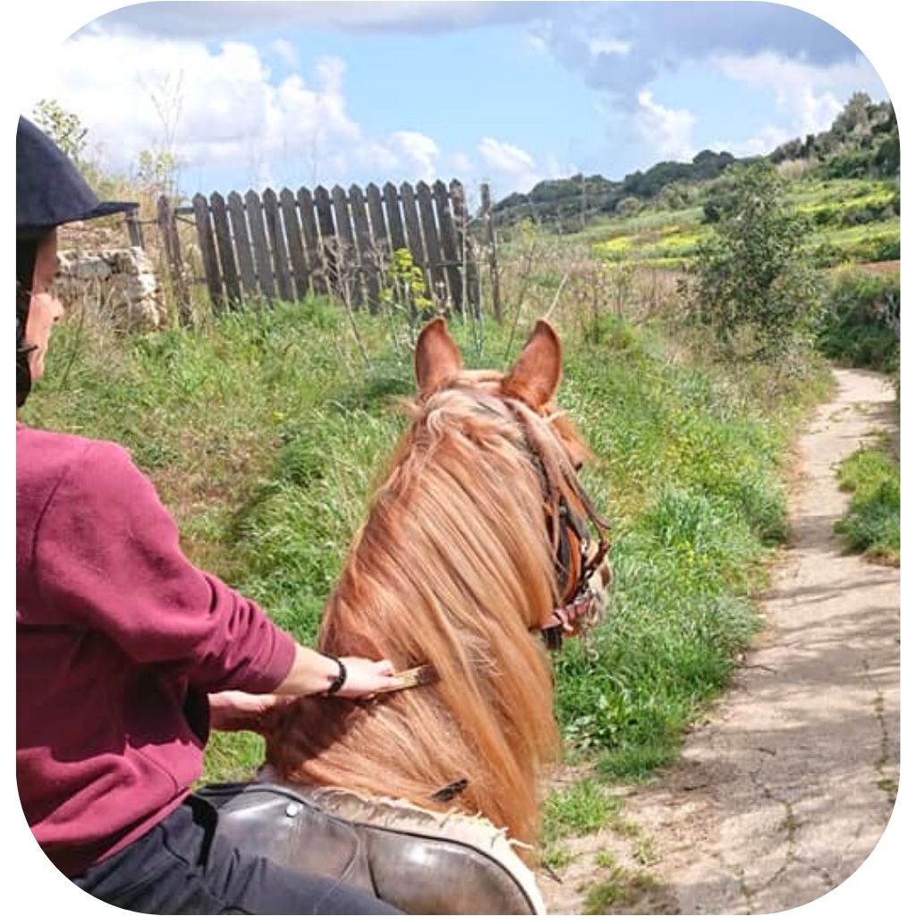 Bidnija Horse Riding