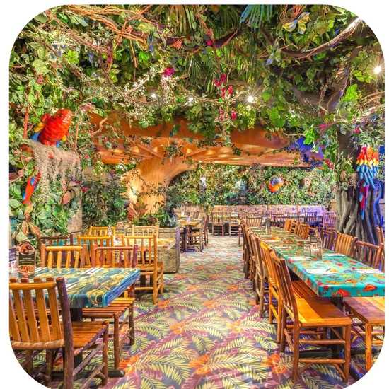 Rainforest Cafe