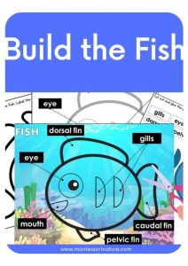 Montessori nature build a fish template