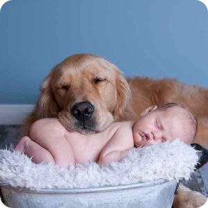 newborn baby and family dog