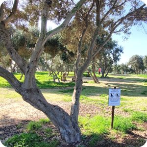 san klement picnic area malta