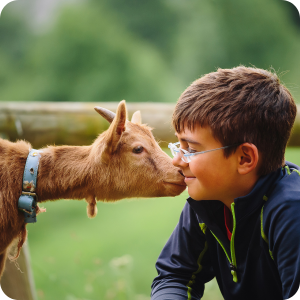 boy with cow