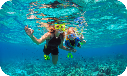 snorkelling activities for older