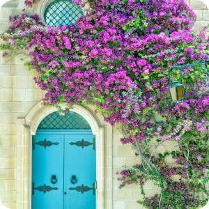  Colourful Doors 