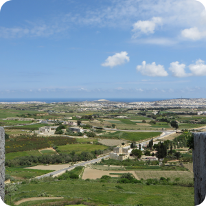View from Mdina 